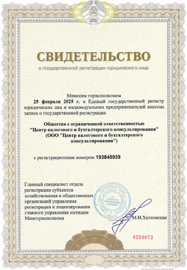 Свидетельство о государственной регистрации ООО «Центр налогового и бухгалтерского консультирования»